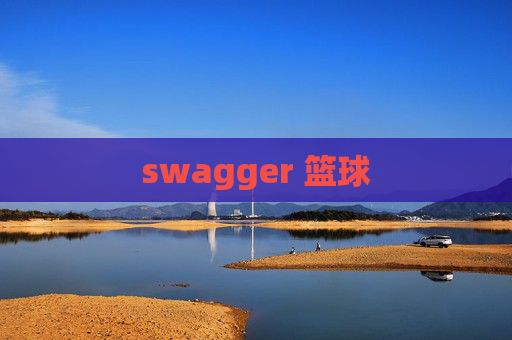 swagger 篮球 swagger 篮球